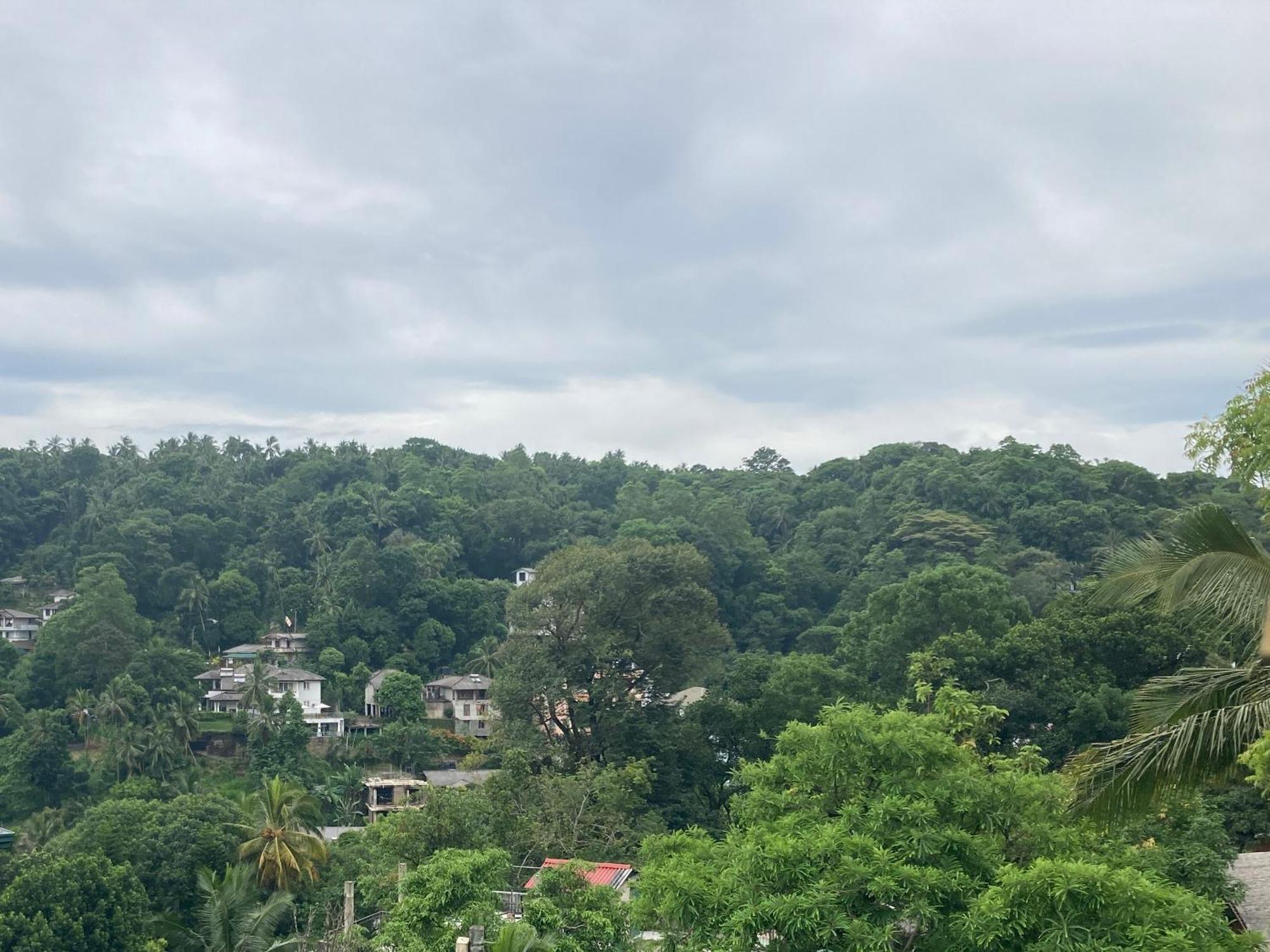 Reverie Hill Bungalow, Kandy Extérieur photo